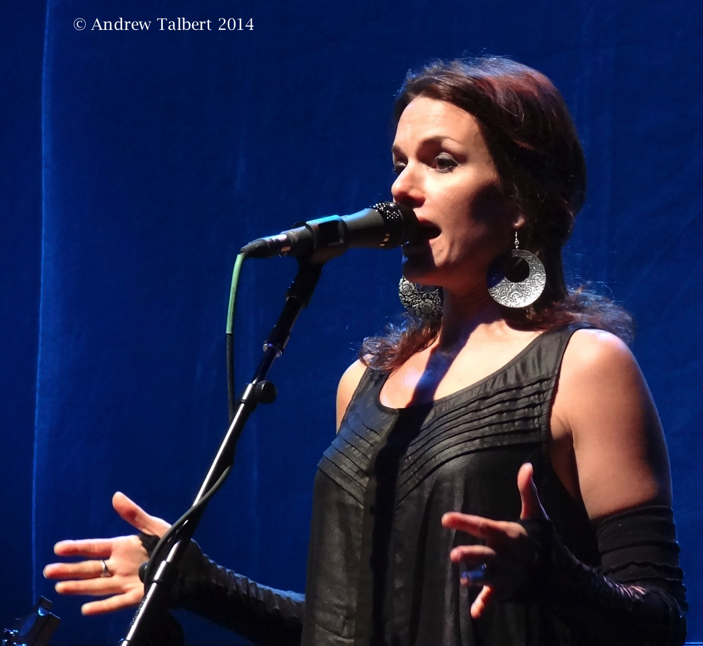 Carolyn Leonhart! Steely Dan! World Wide Music Media